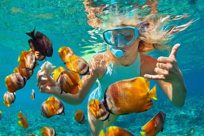 1 Hour Private Snorkeling Activity In Montego Bay - Key Highlights Worth Knowing Before You Go