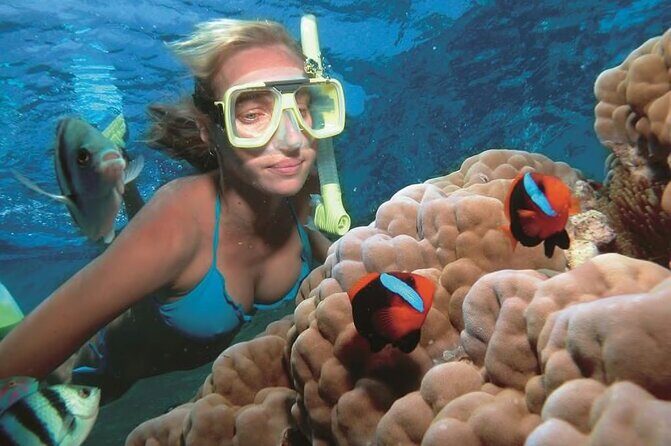 1 Hour Private Snorkeling Activity In Montego Bay - The Boat Ride to the Reef: Short, Efficient, and Photo-Friendly
