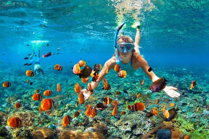 1 Hour Private Snorkeling Activity In Montego Bay - Camera and Video Tips: How to Get Shots You’ll Actually Keep