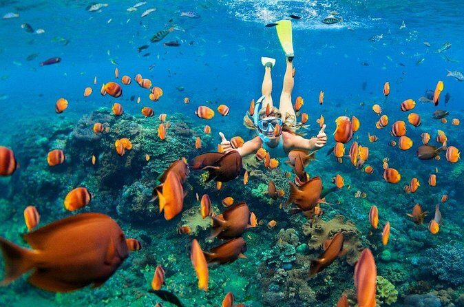1 Hour Private Snorkeling Activity In Montego Bay - Price and What’s Included: Is $110 Per Person Good Value?
