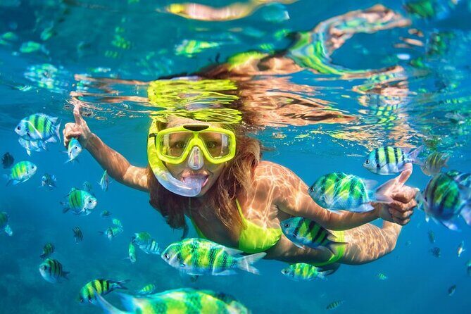 1 Hour Private Snorkeling Activity In Montego Bay - Logistics That Affect Your Day (Without Making It Complicated)