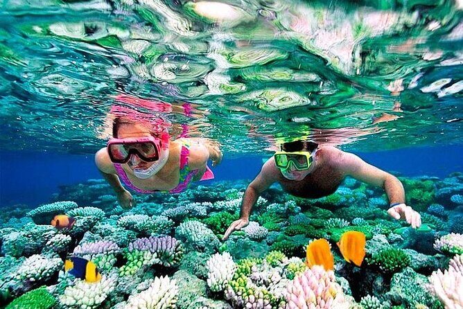 1 Hour Private Snorkeling Activity In Montego Bay - Getting There Comfortably: Resort Pickup and the Quick Trip to the Beach