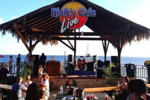3 to 5 Hour Private Herbal Tour Shopping and Dinner at Ricks Cafe - Special Herb Field: the most active stop on the day
