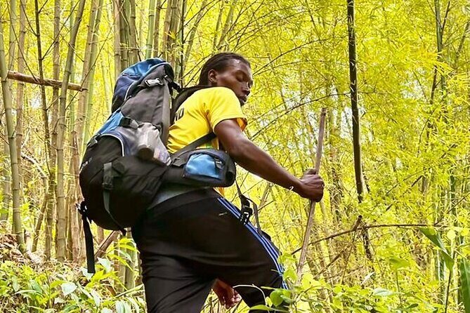 4-Hours Bike, Hike & Waterfall Tour in Blue Mountain with Lunch and Pick Up - A 4-hour Blue Mountain day with real payoff