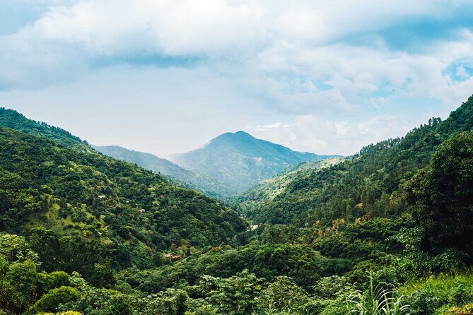 4-Hours Bike, Hike & Waterfall Tour in Blue Mountain with Lunch and Pick Up - The forest hike: 2.2 miles and 1,500+ feet of climb