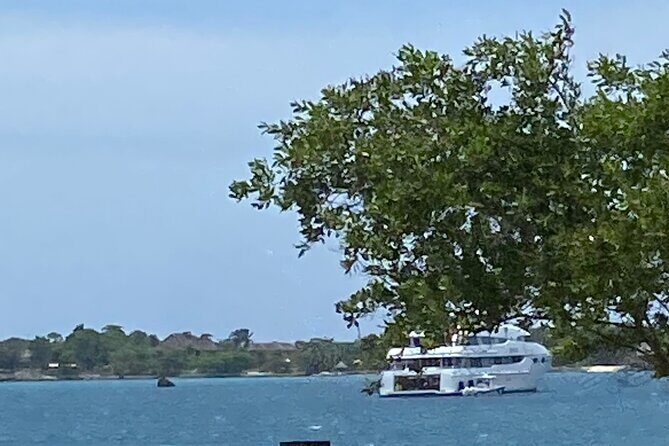 4 Hours Party Boat Catamaran Cruise in Negril - Practical Tips to Make the Most of Your Afternoon