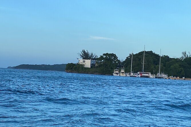 4 Hours Party Boat Catamaran Cruise in Negril - Should You Book This 4-Hour Party Boat Catamaran Cruise?