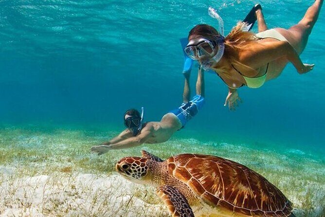 Adventurous-Snorkeling With Sightseeing of Montego Bay - Quick Highlights