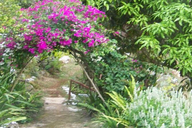 Ahhh Ras Natango Gallery and Garden Private Transfer - Price and Value: What $97.44 Covers (and What It Doesn’t)