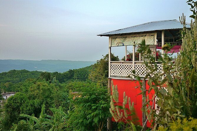 Ahhh Ras Natango Gallery and Garden Private Transfer - Who Should Book This Private Garden and Art Tour?