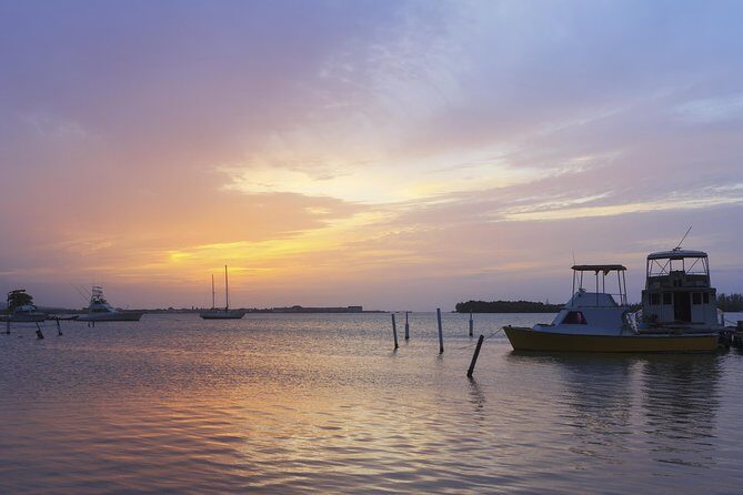 An Evening on the Lagoon: Martha Rafting, Luminous Lagoon and Falmouth Highlight - How the 6-Hour Flow Works: River Daylight, Lagoon After Dark