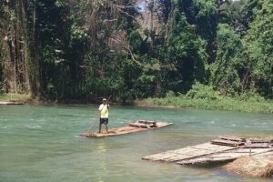 An Evening on the Lagoon: Martha Rafting, Luminous Lagoon and Falmouth Highlight - Martha Brae Bamboo Rafting: Your Slow-Motion River Break