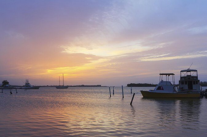 An Evening on the Lagoon: Martha Rafting, Luminous Lagoon and Falmouth Highlight - Price and Value: Is $240 Worth It?