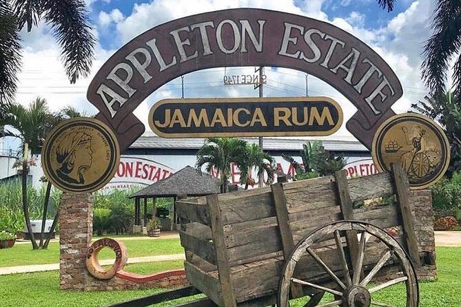 Appleton Estate Rum Private Tour - What “private tour” really means for your day