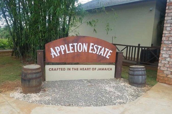Appleton Estate Rum Private Tour - Timing tips: making the most of a 6-hour day