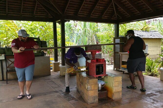 Appleton Estate Rum Tour and Pelican Bar Customize Tour - Montego Bay to the South Coast: The Drive Sets the Tone