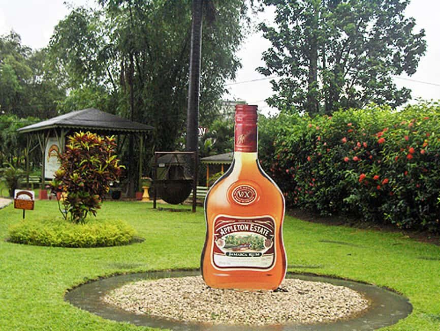 Appleton Estate Rum Tour: Full Day from Montego Bay - Meeting Your Driver in Montego Bay (and Why the Names Matter)