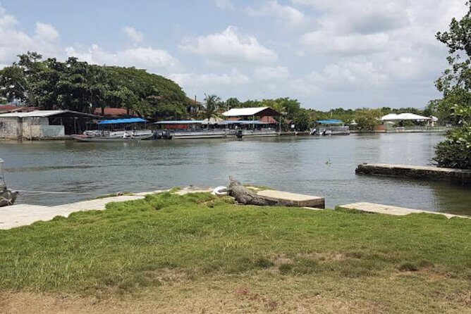 Appleton Estate Rum, YS Falls, Black River Safari / Floyd's Pelican Bar Tour - Price and Value: What $275 Covers (and What It Doesn’t)
