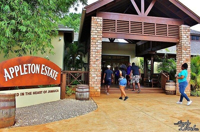 Appleton Estate, Ys Falls and Black River Safari Private Tour - Black River Safari: A Calm Hour That Still Feels Like Wildlife Action