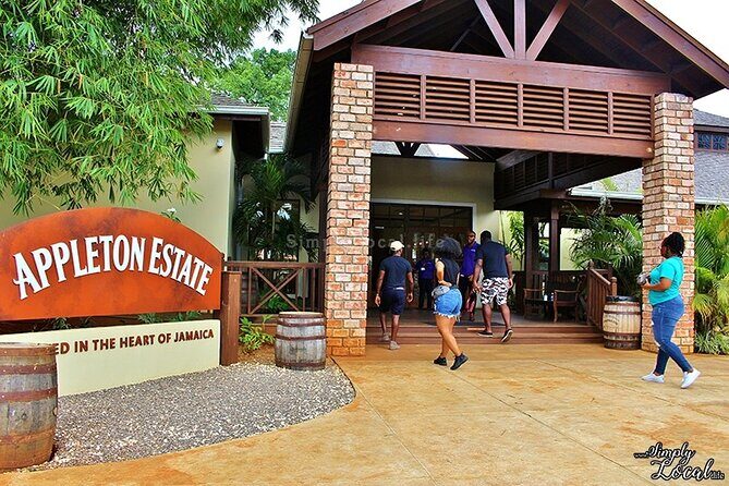 Appleton Estate, Ys Falls and Black River Safari Private Tour - Transport, Pickup, and How the Day Feels in Real Time