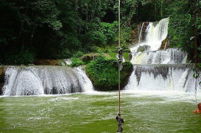 Appleton Estate, Ys Falls and Black River Safari Private Tour - Value and Pricing: Is $242.06 Per Person a Good Deal?