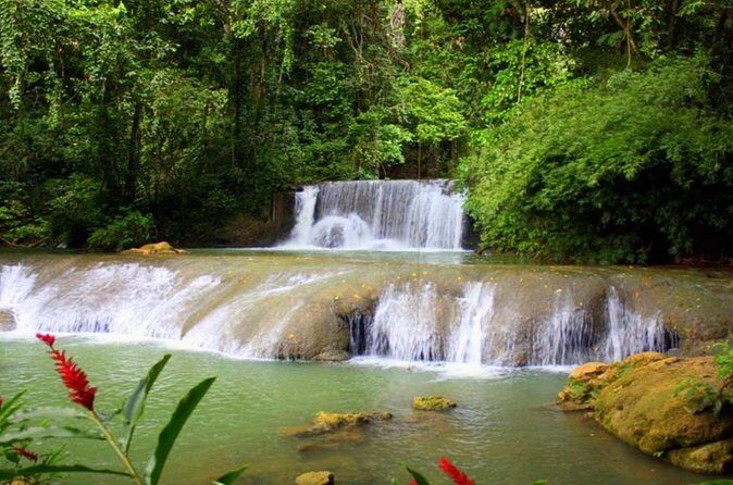 Appleton Estate, Ys Falls and Black River Safari Private Tour - Should You Book the Appleton Estate, YS Falls and Black River Safari Private Tour?