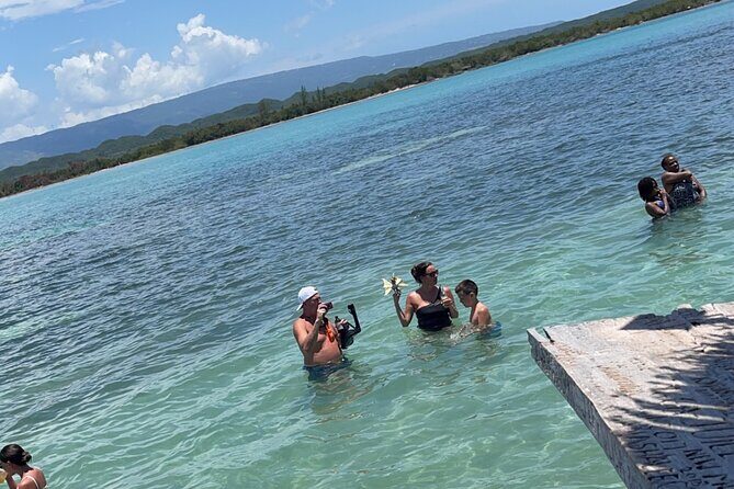 Appleton estate,YS Falls,Black River Safari,Pelican Bar(any 3of4) - Black River Safari: a boat ride built for wildlife spotting