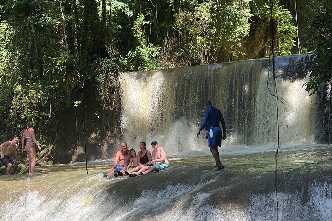 Appleton estate,YS Falls,Black River Safari,Pelican Bar(any 3of4) - Is this private Cedric-led tour worth it?