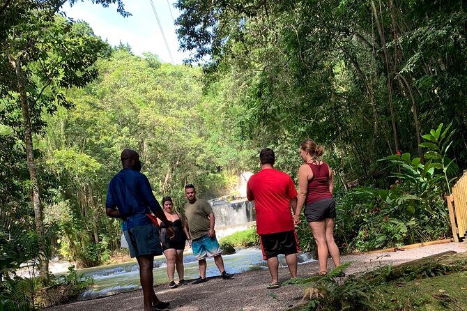 Appleton estate,YS Falls,Black River Safari,Pelican Bar(any 3of4) - Y.S. Falls: the 120-foot drop that resets your body