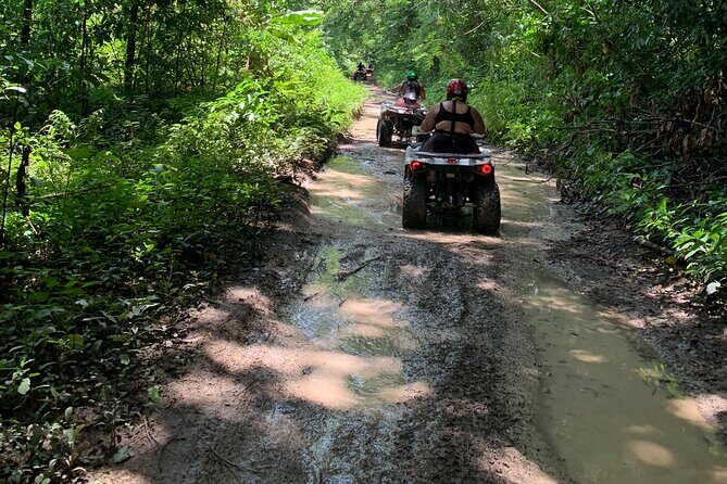 ATV Jungle Safari Tour from Montego Bay - Group Size and Timing: How the 4 Hours Typically Shape the Experience