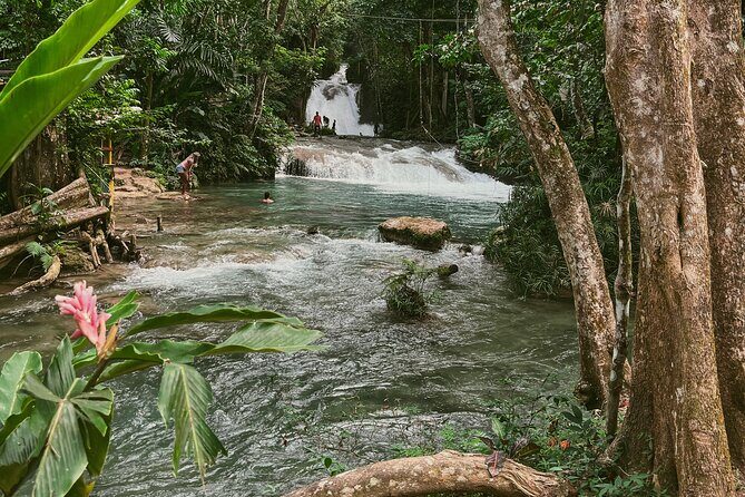 ATV Ride, Spanish Bridge, Blue Hole & Secret Falls-Private Tour - ATV Ride in the Spanish Bridge Area: Adrenaline With a Human Guide