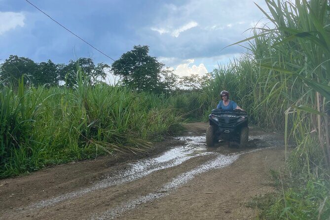 ATV, Zipline, Horseback, Bamboo Rafting and Rick’s Cafe - Horseback riding with the 260-lb limit: plan for comfort and fit