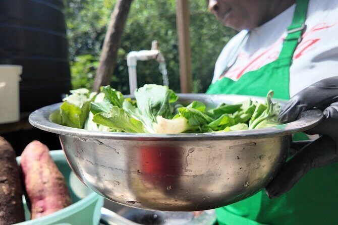 Authentic Jamaican Cooking Experience in the Mountain from mobay - Cooking on an outdoor wood fire (the real skill part)