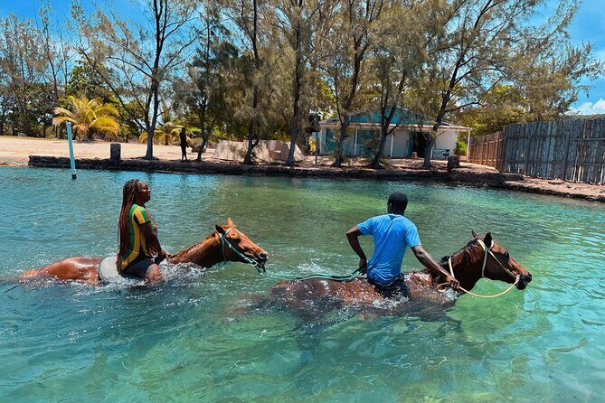 Bamboo Rafting & Horseback Ride n Swim Guided Tour In Montego Bay - Private tour promise vs real-life group size: check this first