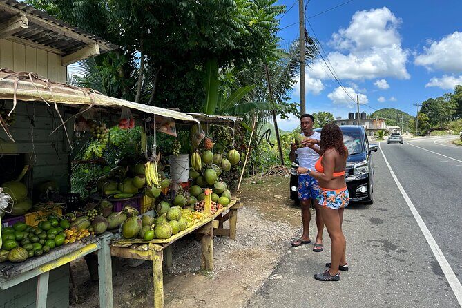 Benta River & Falls Private Tour From Montego Bay - Getting to Benta River Falls From Montego Bay