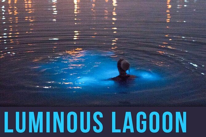 Bioluminescence Lagoon Tour from Montego Bay with Pick Up - Timing and Duration: A Short Night Out (About 1–2 Hours)