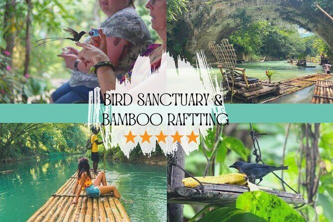 Bird Sanctuary and/or Lethe Bamboo Rafting from Montego Bay - Key highlights before you go
