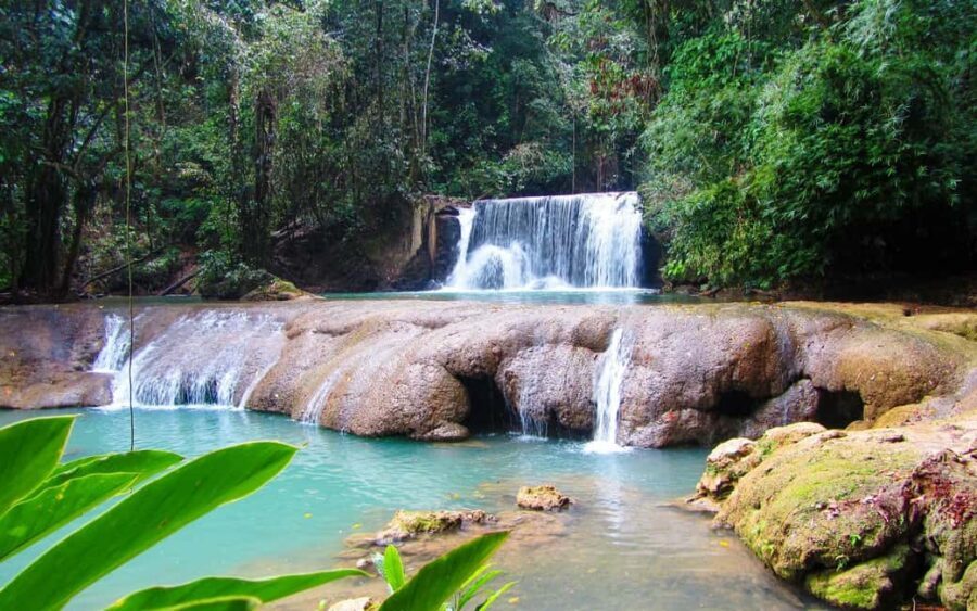 Black River Safari and Ys Falls Tour and Transportation - Key things to know before you go