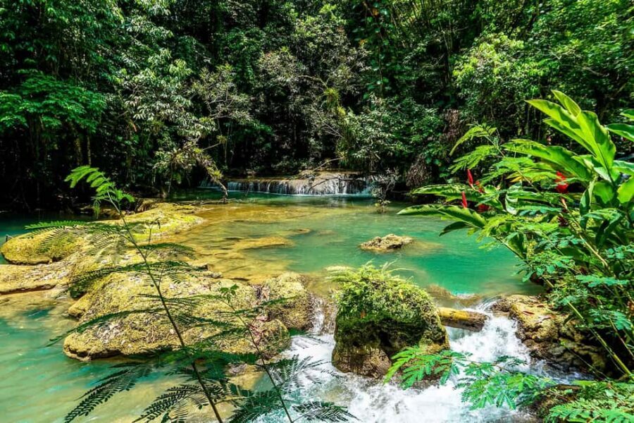 Black River Safari and Ys Falls Tour and Transportation - Soaking up the Jamaica South Coast vibe without the hassle