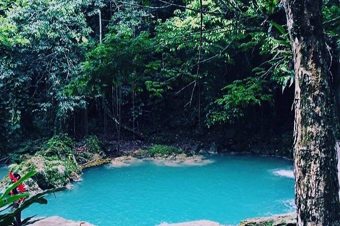 Blue Hole and Dunn's River Falls Tour from Montego Bay - A Waterfall Day Trip From Montego Bay: Blue Hole Plus Dunn’s River