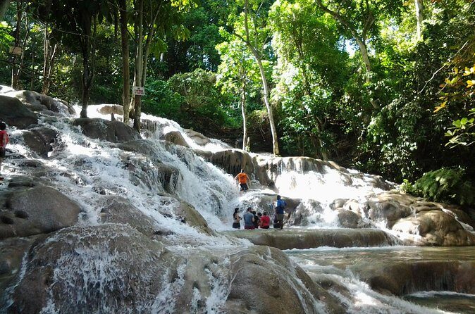 Blue Hole, Dunn's River Falls Luminous Lagoon Excursion From Montego Bay - Who this tour suits best (and who should think twice)