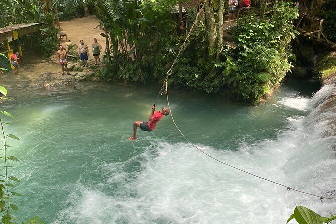 Blue Hole Falls & Ocho Rios from Montego Bay & Falmouth Jamaica - Fern Gully: The Lush Gorge Road Stop