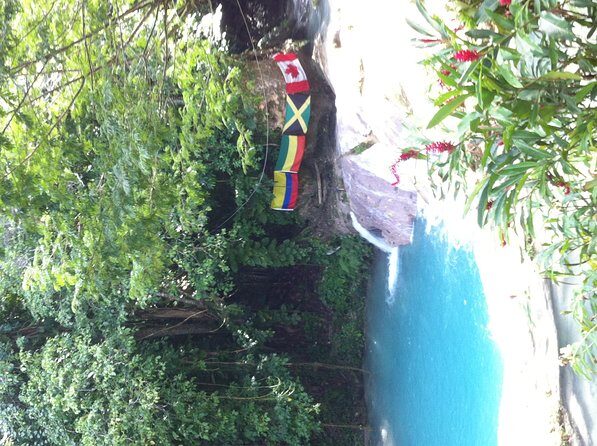 Blue Hole & Jamaica Sightseen Tour Included Transportation - Guide and Driving: Why Safety and Communication Matter Here
