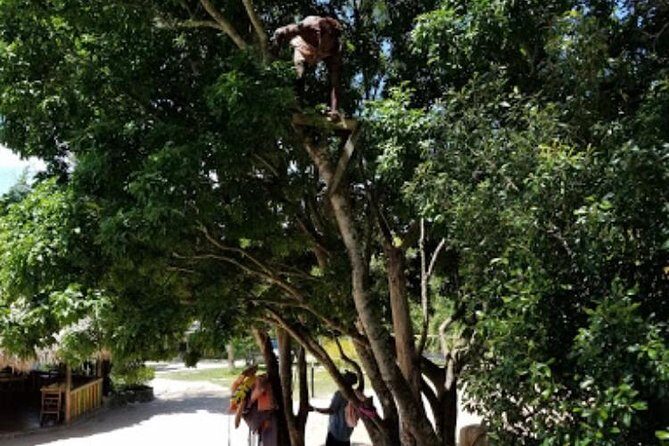 Blue Hole Mineral Spring and Ricks Cafe Private Tour - Who This Private Tour Fits Best (and Who Might Skip It)