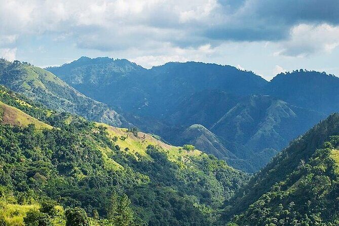 Blue Mountain Coffee, Bob Marley and Art Tour from Montego Bay - The Bob Marley Museum: music history you can walk through