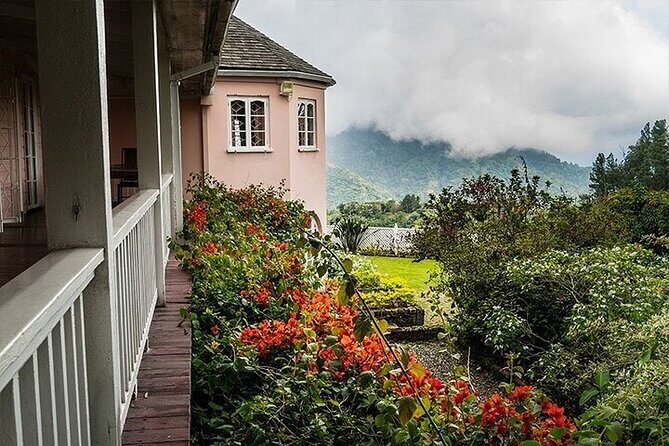 Blue Mountain Coffee, Bob Marley and Art Tour from Montego Bay - Price and logistics: what $315 buys you (and what it doesn’t)