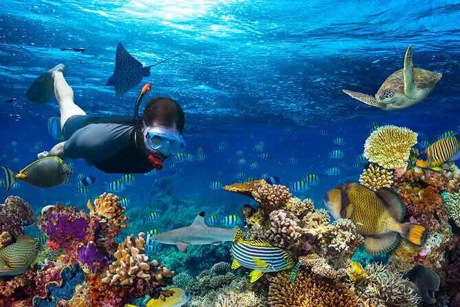 Boatride & Snorkeling then Margaritaville Hipstrip Activity - Price and Value: Is $40 a Good Deal?