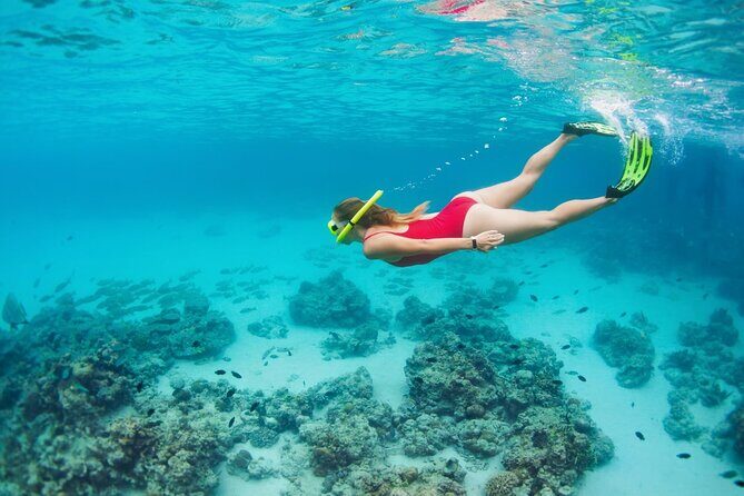 Boatride & Snorkeling then Margaritaville Hipstrip Activity - Comfort, Group Size, and Who This Fits Best