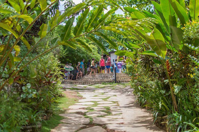 Bob Marley 9 Mile Tour Admission - What to Pack and How to Avoid Headaches