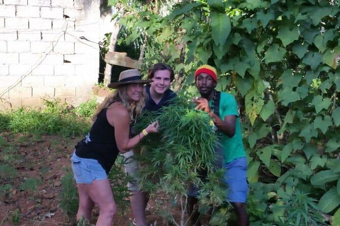 Bob Marley's Nine Mile & Dunns River Falls Tour: Transportation & Ticket - Mobile ticket and confirmations that reduce stress